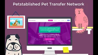 Pet Transfer Network Tutorial