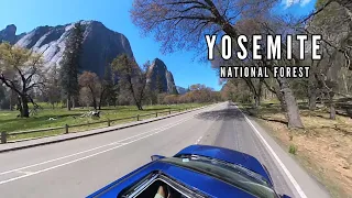 360 Northside Drive Yosemite National Forest