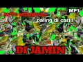 Download Lagu Mp3 suara pikat semua jenis burung kecil #suarapikatburungkecil #birds #burung