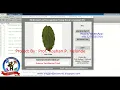 Medicinal Leaf Recognition Using Deep Learning CNN Matlab Project With Source Code Medicinal Plant