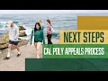 Cal Poly Appeals Process