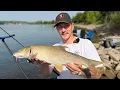 Barbel Fishing Under Extreme Conditions Clear Water Low Levels