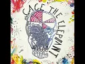 In One Ear - Cage The Elephant
