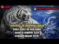 Lagu 🔴buktikan saja jika tidak percaya, musik pemanggil khodam macan putih