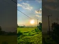 Download Lagu Sinar Cahaya Matahari Pagi Hari #shorts