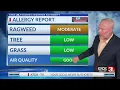 22 Allergy Forecast