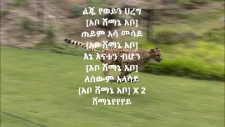 አቦ ሸማኔ ጂጂ እጅጋየሁ ሽባባው Abo Shemane By Gigi Ejigayehu Shibabaw With Lyrics 