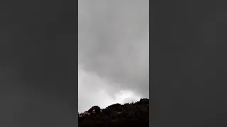 حبيتك قلبي روحي عمري ونبضي قلولك لك حبيتك مع احلا كشت حمام لا تنسوا الاشتراك ولايك لدعم القناه    دندنها