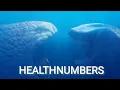 Download Lagu The Bloop vs El gran maja | healthnumbers (Borisao Blois)