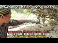 Download Lagu VIRAL !! Kejadian Di Jawatimur Dikira Orang Biasa Ternyata Orang Bunian Suku pedalaman 