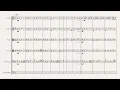 decide to be happy - MisterWives (String Orchestra)