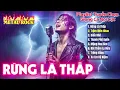 Lagu Rừng Lá Thấp - Top 8 Bản Nhạc Cover Metal Rock Giọng Nội Lực Đầy Cảm Xúc