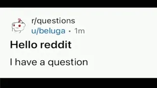 Hello Reddit I have a question