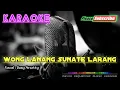 Download Lagu WONG LANANG SUNATE LARANG -Susy Arzetty- KARAOKE