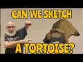 270 Days Strong Today I m Sketching A African Tortoise