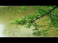 Download Lagu 10 ore di pioggia bellissima e rilassante per dormire  - relaxing rain -  temporale rilassante -ASMR