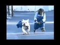 Funny GIF Memes with Chimps