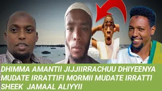 SHEEK JAMAAL ALIYYII AMANTAA JIJJIIRRACHU NAMA TOKKOO IRRATTI WALDHABDEE YEROO AMMA UMAMEF FURMAATA 