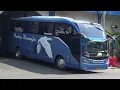 Download Lagu Hunting Bus di Terminal Tirtonadi Solo