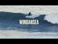 Mid Sized Waves At Windansea