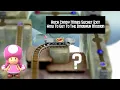 Rock Candy Mines Secret Exit Dinosaur Bones Mission New Super Mario Bros U Deluxe Switch
