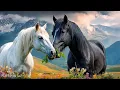 Download Lagu Вы поверите? Я слушала её сотни раз✨И каждый раз — как впервые🎶Музыка Сергея Грищук