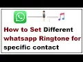 Lagu How to Set whatsapp ringtone for specific contact