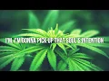 Download Lagu Feeling alright Lyrics by Rebelution