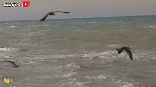 موسيقى جنريك المسلسل المغربي الثمن ١٩٩٣                  دندنها