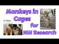 Dr Lisa Jones-Engel People for the Ethical Treatment of Animals