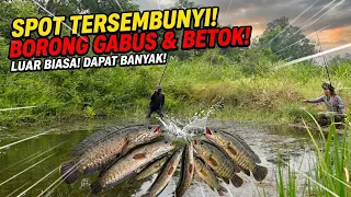 BERTUALANG, MANCING & PASANG TAJUR BOTOL UNTUK KASIH MAKAN IKAN MONSTER