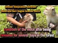 Lagu OOO MY GOD‼️BEGINI KONDISI MOCIL SETELAH DILEPASKAN BEBERAPA HARI DIHUTAN TANPA MAKANAN