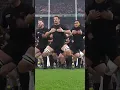 Download Lagu The All Blacks HAKA!