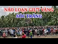 Download Lagu Náo loạn giựt vàng Trường Khánh Sóc Trăng hàng ngàn người tìm đến  | Minh Tơ TV 