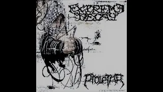 proletar extreme decay split cd 2004 grindcore 