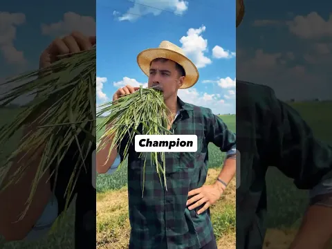Ranking farmerów be like: