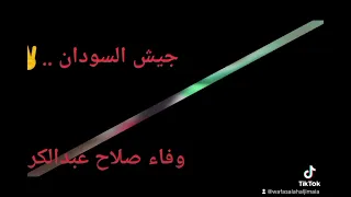 جيش السودان جيش الهنا 