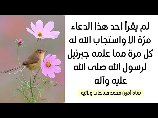 ⁣إذا قرأته مرة سيستجيب الله لك كل مرة كما يقول الشيخ البهائي قدس سره احسن الظن بالله واقرأه الآن