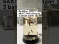 Download Lagu Obat herbal sakit gigi | Resep JSR dr Zaidul Akbar #drzaidulakbar#resepjsr#keluargarimpang