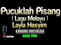 Download Lagu PUCUKLAH PISANG - Layla Hasyim [ KARAOKE MELAYU ] Nada Pria