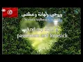 Saber El Rebai - barcha (Tunisian lyrics & English translation) | صابر الرباعي - برشا
