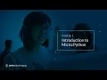 Introduction to MicroPython - Module 01 Introduction