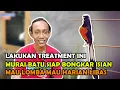 Download Lagu Ini Triknya, Ternyata Tidak Sulit - Cara Agar Murai Batu Bongkar Isian Saat Dilombakan