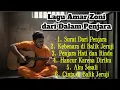 Lagu Pop Melayu Curahan Hati Ammar Zoni 2025