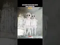Download Lagu HEWAN YANG MENJADI SERAM KETIKA MALAM HARI #shorts #gudangit