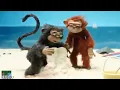 VIDEO LUCU MONYET EWEWE