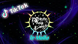 DJ Te Molla - Arnon Viral TikTok | Remix Full Bass Terbaru 2021