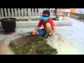 How to Build a Soddy House - Step