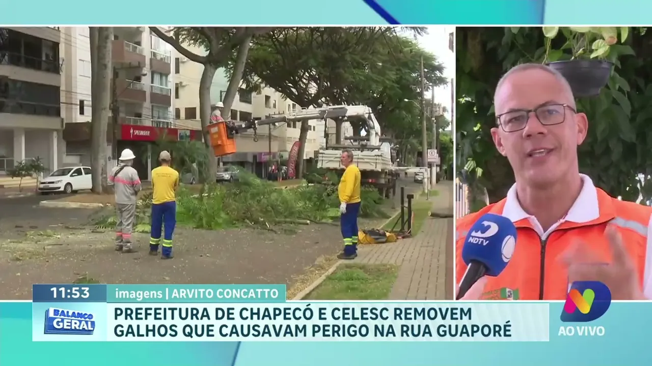 Operação de Limpeza: Prefeitura e Celesc removem galhos