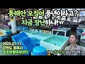 Download Lagu Why you shouldn't trust the news😞 If you're traveling to Gangwon-do, be sure to check this out! V...